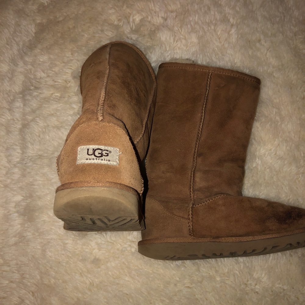 tall chestnut uggs